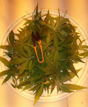 20221228_113833.jpg 20221228_113833.jpg