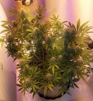 20221228_113903.jpg 20221228_113903.jpg