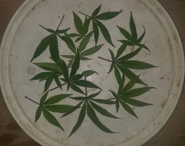 20221228_125933.jpg 20221228_125933.jpg