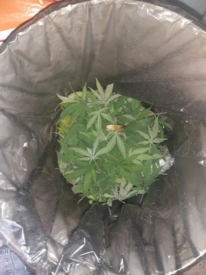 20221228_125912.jpg 20221228_125912.jpg