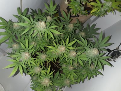 20221228_125605.jpg 20221228_125605.jpg