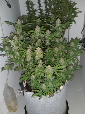 20221228_125823.jpg 20221228_125823.jpg