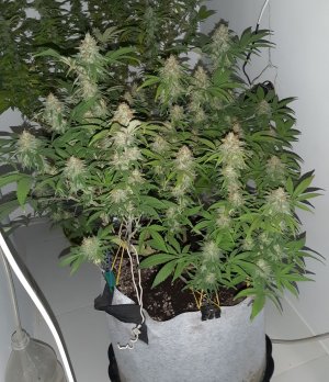 20221228_125553.jpg 20221228_125553.jpg