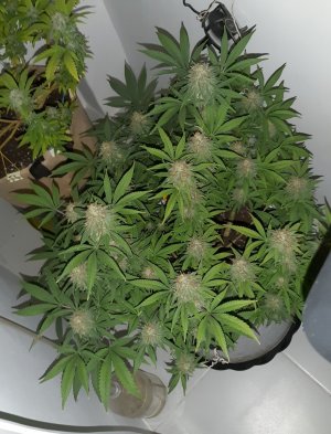 20221228_134102.jpg 20221228_134102.jpg