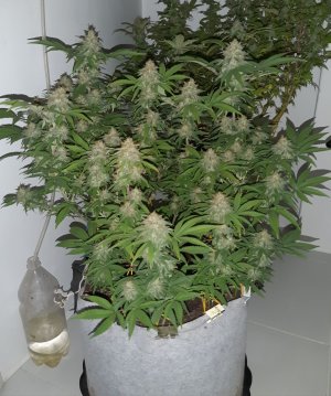 20221228_134024.jpg 20221228_134024.jpg