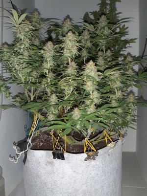 20221228_134008.jpg 20221228_134008.jpg