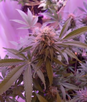 20221228_133904.jpg 20221228_133904.jpg