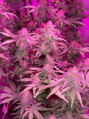 20221228_133934.jpg 20221228_133934.jpg