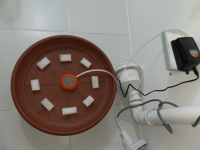 20221229_081634.jpg 20221229_081634.jpg