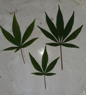 20221229_081424.jpg 20221229_081424.jpg