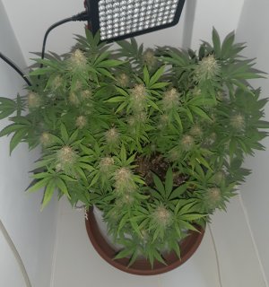 20221229_092022.jpg 20221229_092022.jpg