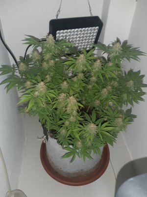 20221229_091530.jpg 20221229_091530.jpg