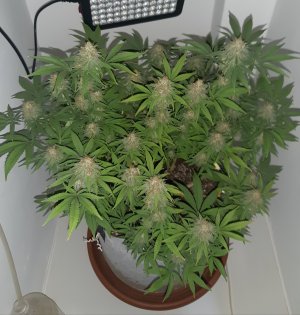 20221229_091453.jpg 20221229_091453.jpg