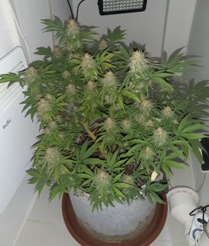 20221229_100938.jpg 20221229_100938.jpg