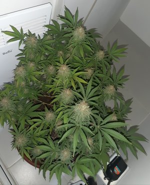 20221229_100922.jpg 20221229_100922.jpg