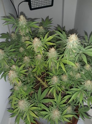 20221229_100834.jpg 20221229_100834.jpg