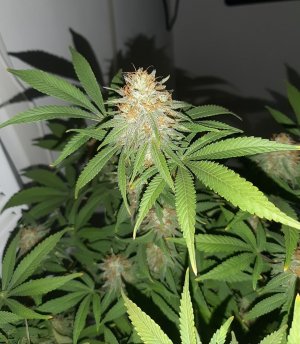 20221229_100808.jpg 20221229_100808.jpg