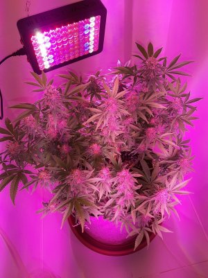 20221229_103836.jpg 20221229_103836.jpg