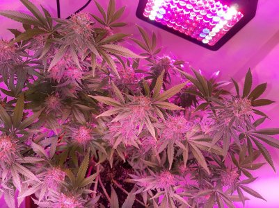 20221229_103824.jpg 20221229_103824.jpg