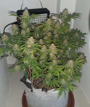 20221229_103754.jpg 20221229_103754.jpg