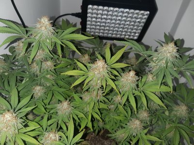 20221229_103723.jpg 20221229_103723.jpg