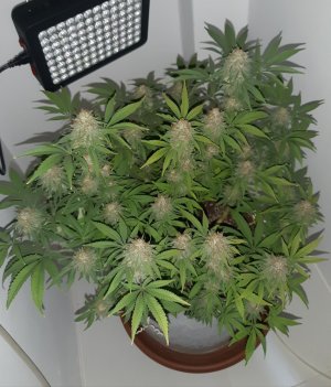 20221229_103646.jpg 20221229_103646.jpg