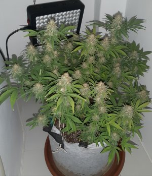 20221229_103627.jpg 20221229_103627.jpg