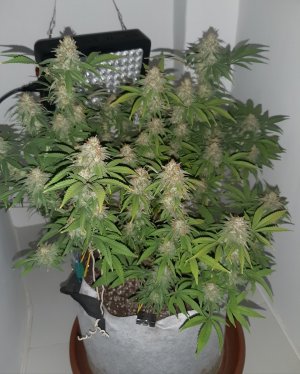 20221229_103601.jpg 20221229_103601.jpg