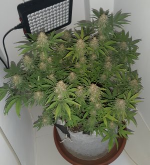 20221229_224229.jpg 20221229_224229.jpg