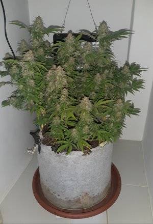 20221229_224158.jpg 20221229_224158.jpg