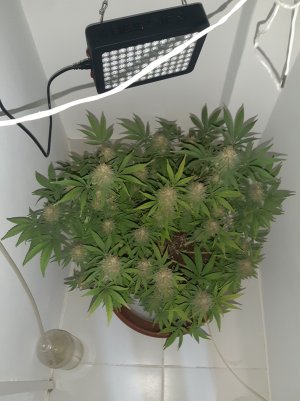 20221229_224144.jpg 20221229_224144.jpg