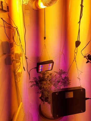 20221229_224050.jpg 20221229_224050.jpg