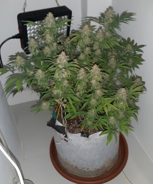 20221230_093416.jpg 20221230_093416.jpg