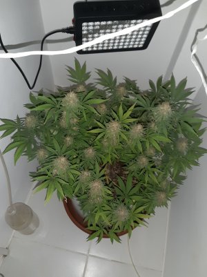 20221230_093222.jpg 20221230_093222.jpg