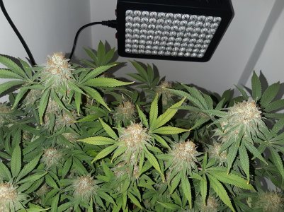 20221230_093257.jpg 20221230_093257.jpg