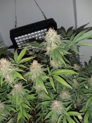 20221230_093233.jpg 20221230_093233.jpg