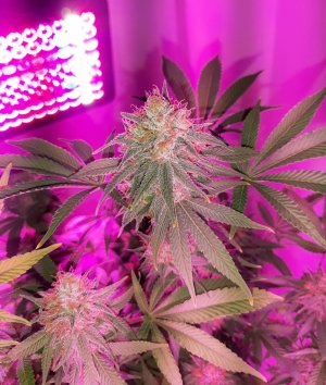 20221230_093139.jpg 20221230_093139.jpg