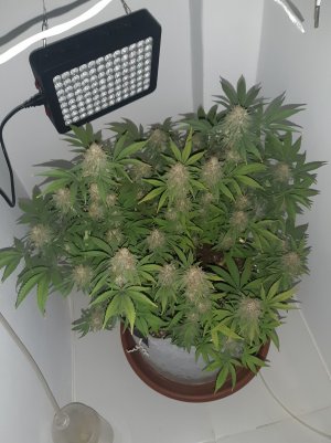 20221230_093127.jpg 20221230_093127.jpg