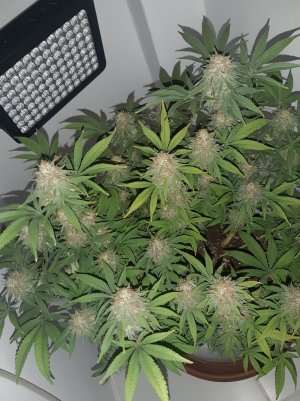 20221230_093057.jpg 20221230_093057.jpg