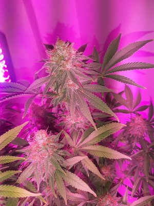 20221230_093026.jpg 20221230_093026.jpg