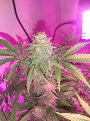 20221230_093045.jpg 20221230_093045.jpg