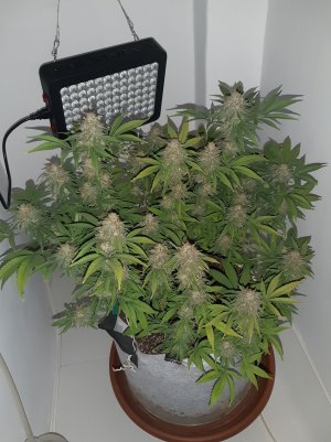 20221230_095602.jpg 20221230_095602.jpg