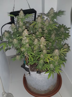 20221230_095545.jpg 20221230_095545.jpg