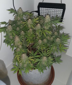 20221230_095528.jpg 20221230_095528.jpg