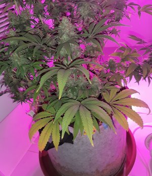 20221230_095423.jpg 20221230_095423.jpg