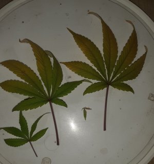 20221230_095359.jpg 20221230_095359.jpg