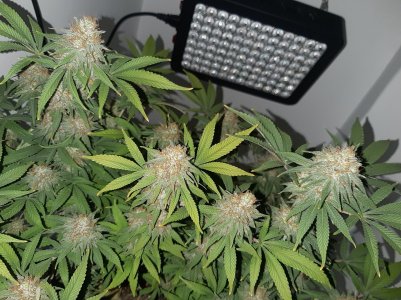 20221230_095513.jpg 20221230_095513.jpg