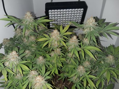 20221230_095500.jpg 20221230_095500.jpg