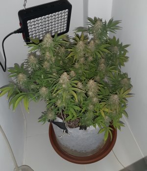 20221230_110214.jpg 20221230_110214.jpg