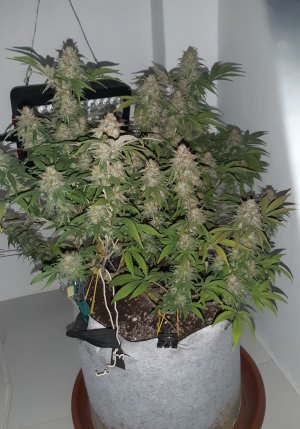 20221230_110146.jpg 20221230_110146.jpg